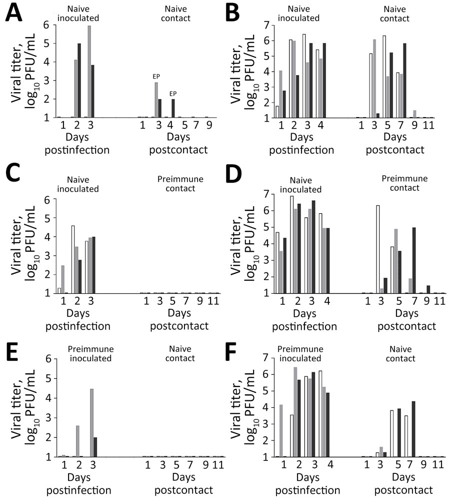 Contact transmission of Texas/37 influenza A(H5N1) virus and Anhui/1 influenza A(H7N9) virus in study of the effect of prior influenza A(H1N1)pdm09 virus infection on pathogenesis and transmission of human influenza A(H5N1) clade 2.3.4.4b virus in ferret model. A, C, E) Transmission of Texas/37 H5N1 virus among ferrets; B, D, F) transmission of Anhui/1 H7N9 virus among ferrets. Different shades indicate individual animals. We inoculated 3 naive ferrets per virus (A–D) and 3 preimmune ferrets per virus (E, F) by respiratory inhalation exposure (Table). Each inoculated ferret was pair-housed with a contact recipient, with (C, D) or without preimmunity (A, B, E, F); contact was sustained for 48 hours for Texas/37 and for 72 hours for Anhui/1 before inoculated animals were humanely euthanized. Nasal wash samples were collected daily from inoculated ferrets (days 1–4 postinfection) and on alternate days from the contact animals (days 1–11 postcontact). The limit of detection was 10 PFU/mL. Two naive contact ferrets (panel A) reached humane endpoints and were euthanized on days 3 and 4 postinfection. Anhui/1, low pathogenicity influenza A(H7N9) A/Anhui/1/2013; EP, endpoint; NS, not statistically significant; Texas/37, highly pathogenic influenza A(H5N1) clade 2.3.4.4b A/Texas/37/2024.