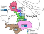 Sampling locations of 76 penA795-bearing Neisseria commensals in 6 districts of Shanghai, China, in study of cefotaxime-resistant Neisseria meningitidis sequence type 4821 causing fulminant meningitis.