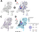 Local circulation of SINV in wild birds and horses, the Netherlands, 2021–2022. A, B) Capture sites and the number of mosquitoes (A) and bird samples (B) screened for SINV by reverse transcription PCR throughout the Netherlands. C) Bird ringing sites (n = 258) of the bird ringers (n = 148) screened for SINV neutralizing antibodies throughout the Netherlands. D) Overview of the serologic screening of horses throughout the Netherlands and birds in a 16-km radius of SINV findings. DR, Drenthe; FL, Flevoland; FR, Friesland; GD, Gelderland; GR, Groningen; LB, Limburg; NB, Noord-Brabant; NH, Noord-Holland; OV Overijssel; SINV, Sindbis virus; UT, Utrecht; ZH, Zuid-Holland; ZL, Zeeland.