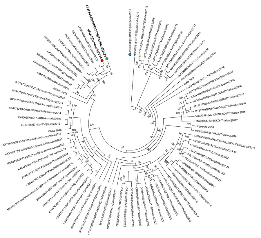 Phylogenetic tree of Zika virus infection in pregnant traveler returning to Denmark from Phuket, Thailand, 2024. Tree was rooted using the oldest genome available in the curated dataset (blue dot); red dot indicates the sequence from this study, VFU-1|Denmark|2024. Green dot indicates a previously sequenced Zika virus genome from a case of travel-associated microcephaly is indicated.