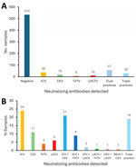 Numbers and percentages of positive samples in a study of neutralizing antibodies against California serogroup orthobunyaviruses in human serum samples, Montana, USA. A) Number of positive and negative samples among 694 tested (excluding samples that could not be analyzed by subsequent screening), 23% of all samples with neutralizing antibody responses. B) Percentage of each virus in 100 samples analyzed from the East region, regardless of their initial positivity to JCV. These samples were analyzed independently for neutralizing antibodies against LACV, CEV, JCV, SSHV, TVTV, and CVV; 60% of positive samples were for positive for JCV or CEV or dual positive for CEV and JCV. CEV, California encephalitis virus; CVV, Cache Valley virus; JCV, James Canyon virus; LACV, La Crosse virus; SSHV, snowshoe hare virus; TVTV, Trivittatus virus.