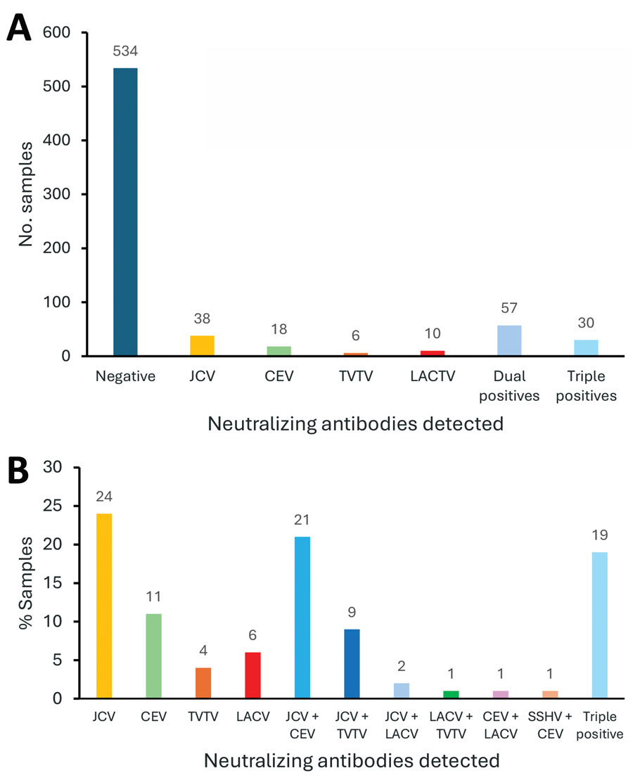 Numbers and percentages of positive samples in a study of neutralizing antibodies against California serogroup orthobunyaviruses in human serum samples, Montana, USA. A) Number of positive and negative samples among 694 tested (excluding samples that could not be analyzed by subsequent screening), 23% of all samples with neutralizing antibody responses. B) Percentage of each virus in 100 samples analyzed from the East region, regardless of their initial positivity to JCV. These samples were analyzed independently for neutralizing antibodies against LACV, CEV, JCV, SSHV, TVTV, and CVV; 60% of positive samples were for positive for JCV or CEV or dual positive for CEV and JCV. CEV, California encephalitis virus; CVV, Cache Valley virus; JCV, James Canyon virus; LACV, La Crosse virus; SSHV, snowshoe hare virus; TVTV, Trivittatus virus.