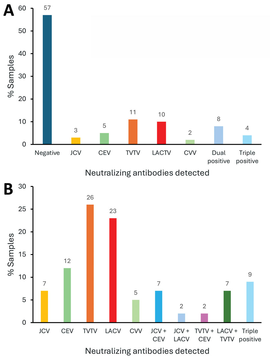 Percentage of positive samples from the east region in a study of neutralizing antibodies against California serogroup orthobunyaviruses in human serum samples, Montana, USA. A) Relative percentage of 100 samples with neutralizing antibodies (Table 3); B) percentage of each virus detected at >1:50 dilution in 43 samples. CEV, California encephalitis virus; CVV, Cache Valley virus; JCV, James Canyon virus; LACV, La Crosse virus; TVTV, Trivittatus virus.