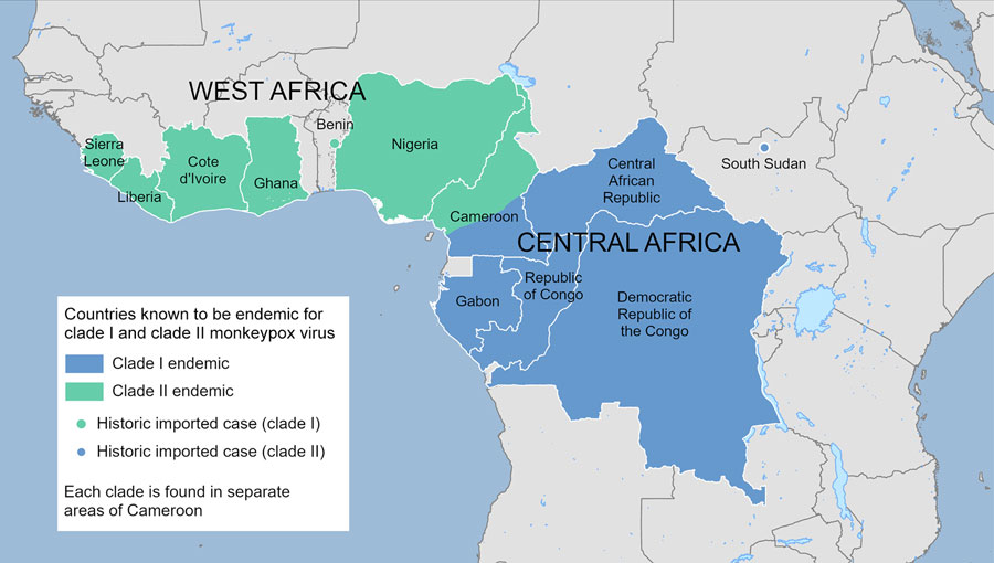 Geographic distribution of countries in Africa considered endemic for mpox caused by monkeypox virus clades I and II. Clade I (blue dot) and clade II (green dot) indicate historic imported mpox cases linked to mpox-endemic areas through known travel before 2022. Geographic separation of clades in Cameroon is approximate.