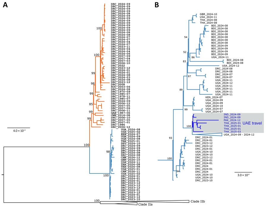Phylogenetic analysis of clade I monkeypox virus (MPXV) sequences. A) Phylogenetic tree estimated for sequences from 1970–2024 according to core single-nucleotide differences among 103 clade I MPXV genomes. Sequences are identified by country (3-letter code) and collection date (year-month). Red branches indicate MPXV clade Ia; blue branches indicate clade Ib. Numbers at branch points indicate bootstrap support values (percentage of 1,000 replicates). B) Phylogenetic analysis of select clade Ib MPXV sequences. Blue text in gray box indicates sequences linked to persons who had traveled to UAE. Phylogenetic analyses were performed by using the maximum-likelihood method and the 3 substitution types model and equal base frequency plus empirical base frequencies plus proportion of invariable sites substitution model in ModelFinder (IQ-TREE version 2.2.6, https://iqtree.github.io). Whole-genome alignments of sequences downloaded from GISAID (https://www.gisaid.org) and GenBank (Appendix) databases were generated by using MAFFT version 7.490 (https://mafft.cbrc.jp/alignment/software). Trees were rooted by using clade II reference genomes: ON627808, ON585033, DQ011156, and DQ011153. Clade Ia sequences are not shown in the tree in panel B. Scale bars indicate nucleotide substitutions per site. BDI, Burundi; CAN, Canada; CHN, China; CMR, Cameroon; DEU, Germany; DRC, Democratic Republic of the Congo; GAB, Gabon; GBR, United Kingdom; IND, India; KEN, Kenya; PAK, Pakistan; ROC, Republic of Congo; THA, Thailand; UAE, United Arab Emirates; UGA, Uganda; USA, United States.