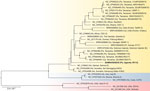 Maximum-likelihood phylogenetic tree of Treponema pallidum genomes from study of yaws circulating in nonhuman primates, Uganda and Rwanda. The tree shows relationships among T. p. pertenue genomes (yellow) and is rooted with T. p. endemicum (blue) and T. p. pallidum (red) genomes. Bold text indicates sequence generated in this study from a Ugandan red colobus monkey. Taxon names include GenBank accession numbers, followed in parentheses by primate host, location of origin, and isolate name. The tree was inferred from a 1,072,667-position cleaned nucleotide alignment of 31 nonredundant sequences available in GenBank having genome coverage >97% and containing 4,716 variable positions. Black dots on nodes indicate bootstrap values of 100%; gray dots indicate 75%–99% bootstrap values based on 1,000 bootstrap replicates; values <75% are not shown. Scale bar indicates nucleotide substitutions per site. Ca, Cercocebus atys; Cp, Chlorocebus pygerythrus; Cs, Cercocebus sabaeus; Hs, Homo sapiens; Pa, Papio anubis; Ps, Piliocolobus tephrosceles; Pt, Pan troglodytes.