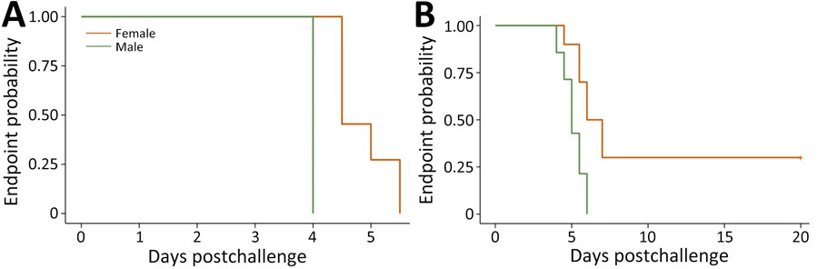Endpoint and survival curves for Peromyscus deer mice experimentally infected with Leptospira in study of the species as rodent model of acute leptospirosis. Graphs indicate survival curves for severely diseased female and male deer mice infected with Leptospira borgpetersenii strain LR131 (A) and L. interrogans strain LAD1 (B). p value <0.01 between sexes for both LR131- and LAD1-infected animals.