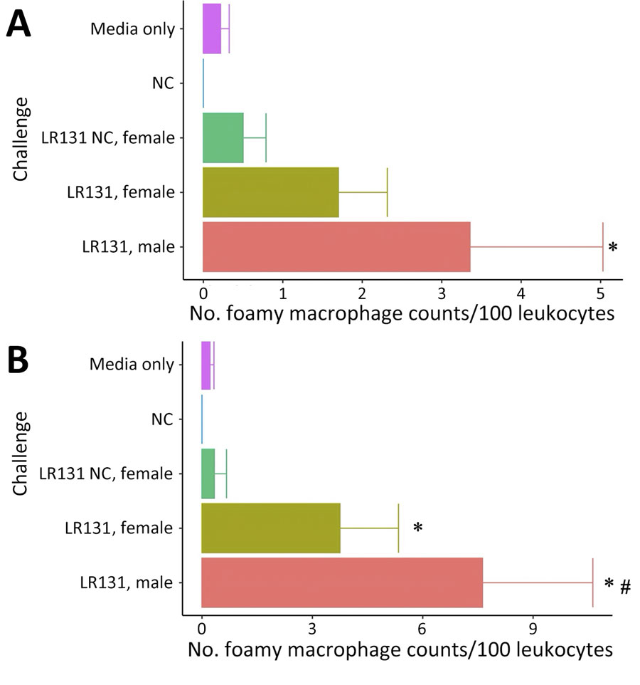 Concentrations of foamy macrophages per 100 leukocytes in whole blood smears from male and female Peromyscus deer mice in study of the species as rodent model of acute leptospirosis. Concentrations of foamy macrophages are shown for acute disease male, acute disease female, and NC female mice taken when acute male mice reached endpoint for challenge with Leptospira interrogans strain LAD1 (A) or L. borgpetersenii strain LR131 (B). Error bars depict SEs. Asterisk denotes a significant difference (p<0.05) from media alone and negative control groups, whereas pound sign denotes a significant difference (p<0.05) between male and female groups. NC, nonclinical.