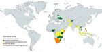 Global status of implementation of stool-based testing for tuberculosis, by country, as of September 2024, according to knowledge of the authors.