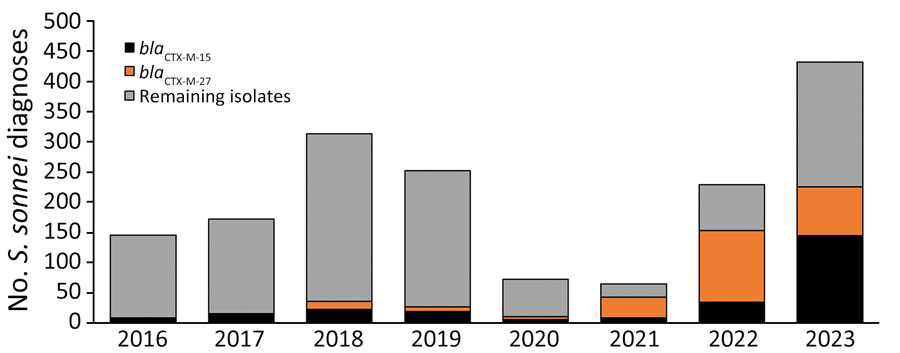 Sexually transmitted Shigella sonnei isolates among presumptive men who have sex with men by the presence of the blaCTX-M-15 or blaCTX-M-27 gene variant from an epidemiologic and genomic investigation, England, 2016–2023. Presumptive men who have sex with men category was defined as cases among male adults (>16 years of age) without a history of travel or where travel history was unknown.