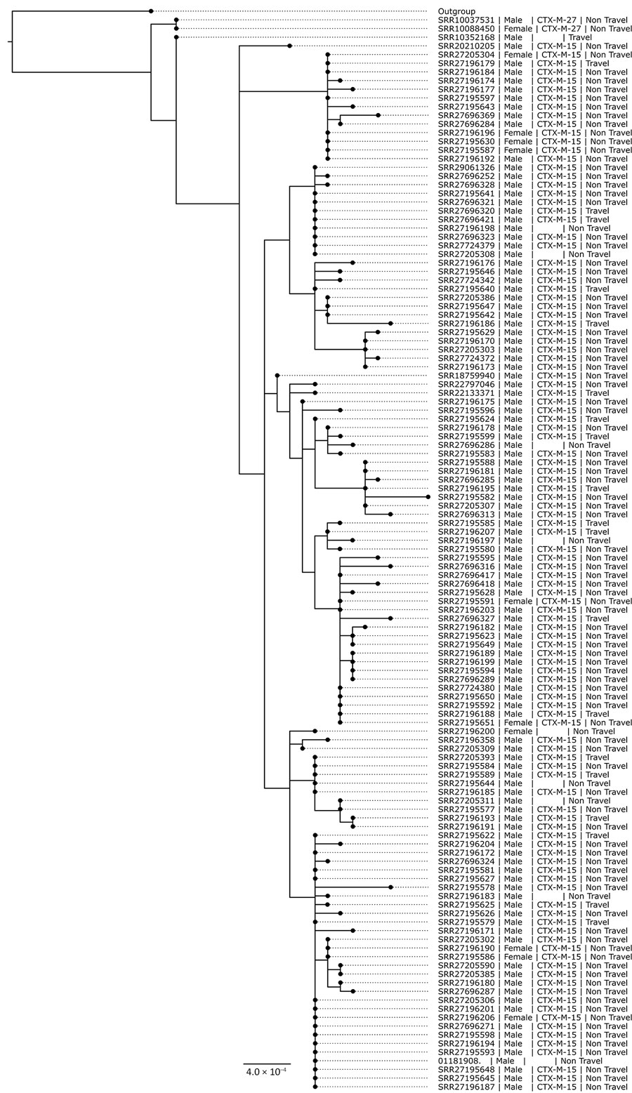 Maximum-likelihood phylogenetic tree of the Shigella sonnei clonal complex 152 within the 10 single-nucleotide polymorphism linkage cluster t10.1814 (n = 125) found during an epidemiologic and genomic investigation of sexually transmitted S. sonnei from presumptive men who have sex with men, England, 2016–2023. A total of 125 isolates included in tree. Sequence read run accession is sample identification, additional information provided is gender, presence of blaCTX-M gene variants, and association with travel. Presumptive men who have sex with men was defined as cases among male adults (>16 years of age) without a history of travel or where travel history was unknown