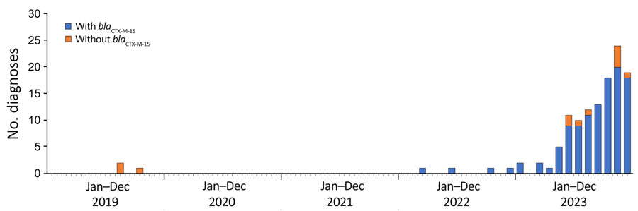 Diagnoses of Shigella sonnei in cluster t10.1814 by the blaCTX-M-15 gene variant status from an epidemiologic and genomic investigation, England, 2016–2023.