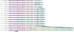 Alignment of IncFII plasmids in samples selected for Nanopore sequencing during an epidemiologic and genomic investigation of sexually transmitted Shigella sonnei from presumptive men who have sex with men, England, 2016–2023. Red gene is the blaCTX-M variant. Presumptive men who have sex with men was defined as cases among male adults (>16 years of age) without a history of travel or where travel history was unknown