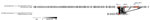 Alignment of exemplar IncFII plasmid from a Shigella sonnei strain during an epidemiologic and genomic investigation of sexually transmitted Shigella sonnei from presumptive men who have sex with men, England, 2016–2023. The strain fell within the 10 single-nucleotide polymorphism linkage cluster t10.1814 and strain 01233204 (GenBank accession no. SRR29176725), showing the cassette containing blaCTX-M-15 (highlighted in red) has moved to the chromosome. Presumptive men who have sex with men was defined as cases among male adults (>16 years of age) without a history of travel or where travel history was unknown