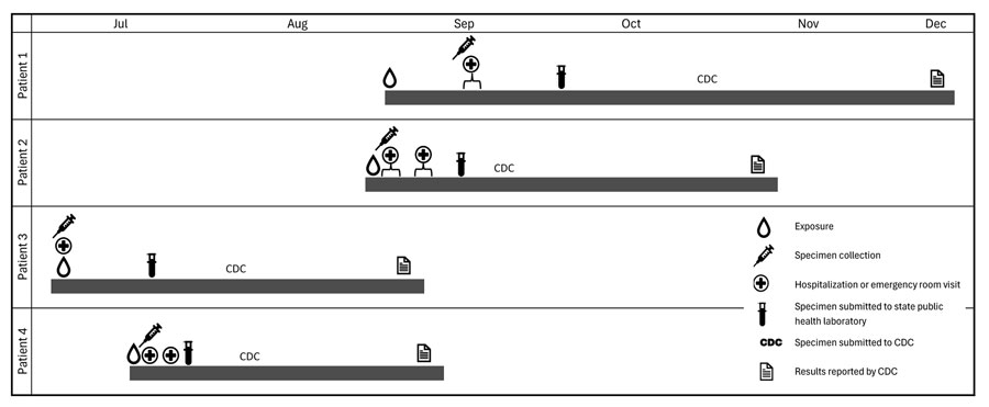 Clinical timeline of 4 patients with Haematospirillum jordaniae infections, Pennsylvania, USA, 2020. Three of the 4 cases were later determined to be associated with recreational freshwater exposure.
