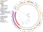 Maximum-likelihood tree in a study of spread of dual-resistant Mycoplasma genitalium clone among men, France, 2021–2022. The tree is based on the mgpB type of 163 successfully mgpB-typed M. genitalium–positive specimens harboring macrolide resistance–associated mutations. The tree was inferred using the maximum-likelihood method based on the Tamura 3–parameter model (T92 general plus invariable site model) constructed in MEGA7 (https://www.megasoftware.net). Branch support values were generated from 100 bootstrap replicates. The M. genitalium G37 strain (American Type Culture Collection no. 33530, https://www.atcc.org) sequence was used as a reference. The phylogenetic tree was annotated from the center to the periphery with the specimen name, the mgpB type, the macrolide resistance–associated mutation (Escherichia coli numbering), the fluoroquinolone resistance–associated ParC and GyrA mutations (M. genitalium numbering), and the geographic origin of the patient. Specimen names that were mgpB ST159 are highlighted in red. The phylogenetic tree was displayed and annotated using iTOL version 6 (https://itol.embl.de). Scale bar indicates the branch length corresponding to a genetic distance of 0.01, which indicates the average number of nucleotide substitutions per site. 