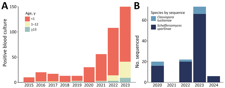 Characteristics of yeast biochemically identified as Clavispora lusitaniae during an outbreak of Scheffersomyces spartinae fungemia among pediatric patients, Pakistan, 2020–2024. A) Number of blood cultures with yeast identified as C. lusitaniae by patient age range and year, 2015–2023. Biochemical species identification performed by VITEK 2 YST ID card system (bioMérieux). B) Species designation by internal transcribed sequence among isolates initially identified as C. lusitaniae from blood or other sources that subsequently underwent whole-genome sequencing, 2020–2024.