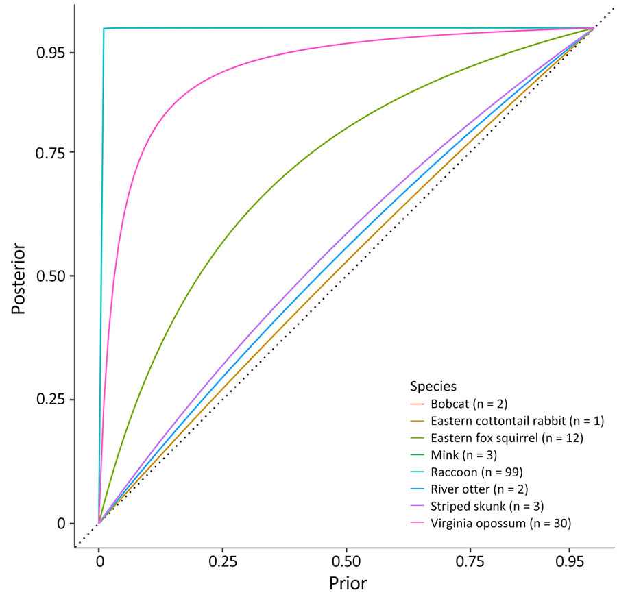 Posterior estimates of disease freedom varied based on prior input and the number of samples collected from each species in March 2023 in study of SARS-CoV-2 and influenza A viruses in wild mammals, United States. Collecting larger sample sizes enabled posterior estimates to depend less on prior inputs. The probability of disease freedom was analyzed for SARS-CoV-2–negative swabs from each species within each site. Probabilities for 8 species at a site in Iowa, United States, are shown.