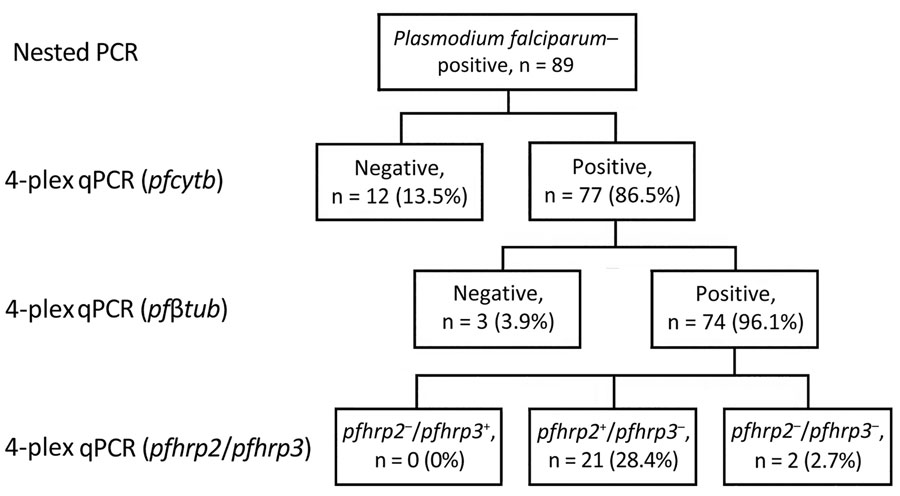 pfhrp2 and pfhrp3 deletion frequency in genomic deletion of PfHRP2 and PfHRP3 antigens in Plasmodium falciparum strains, Ethiopia, 2009. P. falciparum–positive samples from 89 persons, previously identified by species-specific PCR were analyzed by 4-plex qPCR for the presence of P. falciparum by pfcytb to confirm DNA quality and quantity by amplification of the single copy gene pfβtub and then for deletion of pfhrp2 and pfhrp3. pfcytb, P. falciparum cytochrome b; pfβtub, P. falciparum β-tubulin; pfhrp, P. falciparum histidine-rich protein; qPCR, quantitative PCR.