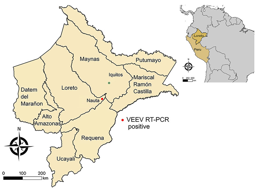 Geographic location of Venezuelan equine encephalitis virus–positive case from study of Venezuelan equine encephalitis, Peruvian Amazon, 2020. Red dot shows location of case for which metadata were available; green dot represents Iquitos, capital of the department of Loreto. Inset map shows location of Peru in South America and of Loreto department. All maps were created using QGIS 3.36.0 based on freely available maps from Bucknell University (https://hub.arcgis.com) and Instituto Nacional de Estadística e Informática, Peru (https://ide.inei.gob.pe/#capas).