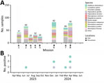 Sampling of bat species for study of detection of batborne hantaviruses, Laos, 2023–2024. A) Number of samples collected by species and location. Other represents bat species for which <10 bats were captured during each field mission. B) Number of positive samples collected during the sample period.