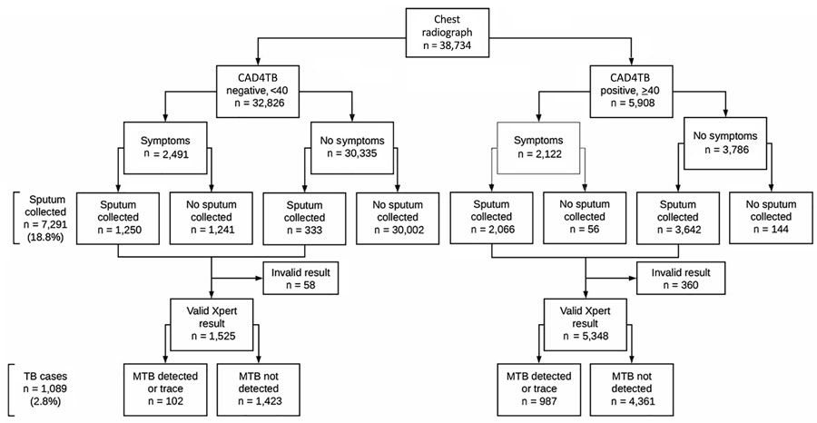 Flowchart for TB screening in a national active case-finding program for tuberculosis in prisons, Peru, 2024. The algorithm shows screening among included participants across 18 study prisons. TB cases were defined as any positive or trace result via Xpert MTB/RIF Ultra (Cepheid, https://www.cepheid). CAD4TB, Computer-Aided Detection for Tuberculosis version 7.0 (Delft Imaging Systems, https://delft.care); MTB, Mycobacterium tuberculosis; TB, tuberculosis; Xpert, Xpert MTB/RIF Ultra (Cepheid, https://www.cepheid).