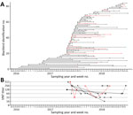 Longitudinal results for Usutu virus (USUV) serologic testing of serum samples from naturally study of USUV antibody dynamics in naturally infected blackbirds, the Netherlands, 2016–2018. Birds were recaptured and sampled >1 time. A) USUV seropositivity status for recaptured blackbirds that were sampled 2–9 times (n = 84). Left axis indicates individual blackbird identification numbers (1–84); dots represent moment of actual sampling; lines connecting sampling moments of each individual bird are supportive to figure interpretation and have no meaning. Black dots indicate seronegative by microarray; red dots, confirmed positive for USUV antibodies by microarray and comparative VNT USUV versus West Nile virus; green dots, confirmed positive for orthoflavivirus antibodies. B) Trends in USUV virus neutralization test titers in time for recaptured blackbirds that were seropositive >1 time (n = 11). Reciprocal antibody titers are shown. Red lines indicate birds that showed an increase in titer after an initial decline; black lines indicate birds that showed no kinetics or a decline in titer over time. VNT, virus neutralization test.