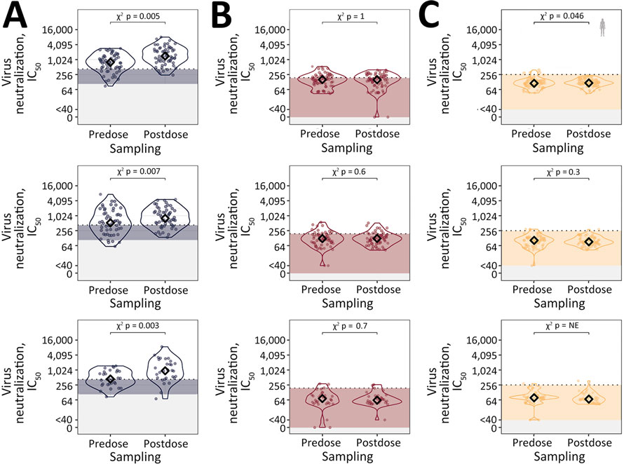 Live-virus neutralization of preseasonal and postseasonal quadrivalent influenza vaccination in a study of influenza A(H5N1) virus neutralization by quadrivalent seasonal vaccines, United Kingdom, 2021–2024. Violin plots show paired serum samples before and after each seasonal vaccine (top row, 2023–24, n = 59; middle row, 2022–23, n = 54; bottom row, 2021–22, n = 30) tested against pandemic H1 and 2 highly pathogenic avian influenza H5 strains: H1N1 strain (A), H5N1 Cambodia strain (B), and H5H1 Texas dairy strain (C). Virus neutralization reported as log2-transformed IC50. Black diamonds indicate median IC50. Nonspecific cross-reactivity levels are shown as shaded areas. p values from McNemar tests are shown, comparing the number of persons above background (dashed line) before and after quadrivalent influenza vaccination by using a χ2 test. IC50, reciprocal titer at which 50% of viral infection is inhibited; NE, not estimated.