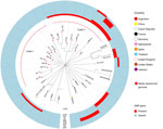 Phylogenetic relationships and AMR gene profiles of isolates in a study of human Streptococcus suis infections, South America, 1995–2024. Tree shows relationships among sequence type (ST) 1 serotype 2 S. suis isolates from human disease in Argentina and selected ST1 serotype 2 isolates from other countries. The maximum-likelihood phylogenetic tree was constructed by using 5,504 bp nonredundant core-genome single-nucleotide polymorphism loci identified relative to the genome sequence of ST1 serotype 2 reference strain P1/7 (not included in the depiction). The tree delineates 2 distinct clades from Argentina that differ in core-genome single-nucleotide polymorphisms and on AMR gene content. One isolate from a human infection in Spain clusters tightly within clade 2 from Argentina, but the rest of the isolates, all from outside South America, are more distantly related genetically to either clade from Argentina. AMR genes in the isolate genomes are represented in the outer rings. AMR, antimicrobial resistance.