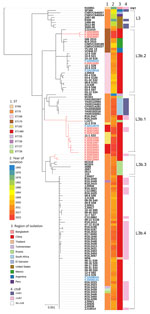 Maximum-likelihood phylogeny of genomic sequences from a study of emergence and prevalence of Vibrio cholerae O1 ST75 clonal complex, Fujian Province, China, 2009–2023. The tree revealed 5 distinct lineages: L3 (Gulf Coast), L3b.1, L3b.2, L3b.3, and L3b.4. ST1480 and ST182 clustered in L3b.1 and had a maximum pairwise distance of 0–6 SNPs. The 7PET genome N16961 (ST69) was included as an outgroup. Isolates from Fujian Province are show as red branch lines and labels for clinical isolates (n = 17) and blue text for environmental isolates (n = 5); and the other 102 isolates (black text) are of global origin. Sequence type, year and region of isolation, and types of ctxB are shown at the tips of the tree; lineages are marked on the right side of the tree. The scale bar indicates substitutions per variable site. 7PET, 7th pandemic V. cholerae O1 El Tor; ctxB, cholera toxin B subunit gene; ST, sequence type.