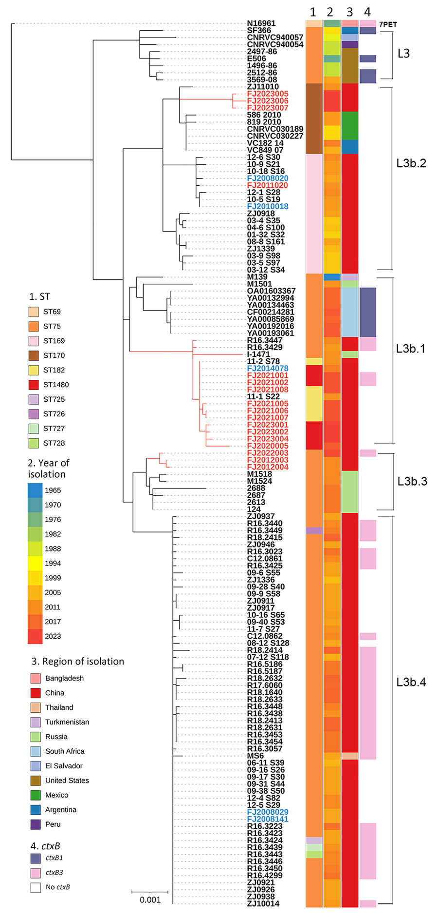 Maximum-likelihood phylogeny of genomic sequences from a study of emergence and prevalence of Vibrio cholerae O1 ST75 clonal complex, Fujian Province, China, 2009–2023. The tree revealed 5 distinct lineages: L3 (Gulf Coast), L3b.1, L3b.2, L3b.3, and L3b.4. ST1480 and ST182 clustered in L3b.1 and had a maximum pairwise distance of 0–6 SNPs. The 7PET genome N16961 (ST69) was included as an outgroup. Isolates from Fujian Province are show as red branch lines and labels for clinical isolates (n = 17) and blue text for environmental isolates (n = 5); and the other 102 isolates (black text) are of global origin. Sequence type, year and region of isolation, and types of ctxB are shown at the tips of the tree; lineages are marked on the right side of the tree. The scale bar indicates substitutions per variable site. 7PET, 7th pandemic V. cholerae O1 El Tor; ctxB, cholera toxin B subunit gene; ST, sequence type.