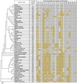Sequence comparison of ACE2 proteins among 54 animal species with phylogenetic tree of ACE2 proteins in study of ACE2 receptor usage across animal species by SARS-CoV-2 variants. Protein sequence of ACE2 from various species are aligned at residues in the SARS-CoV-2 spike protein binding interface. Percent identity to human ACE2 was calculated by pairwise alignment of individual ACE2s to human ACE2. Residues differing from human ACE2 residues are highlighted in yellow. Scale bar indicates the number of amino acid substitutions based on ACE2 protein sequences. ACE2, angiotensin-converting enzyme 2.
