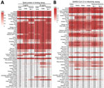 Heatmaps showing the binding strength of spike proteins (A) and infectivity of SARS-CoV-2 variants (B) to cells expressing ACE2 proteins from 54 animal species in study of ACE2 receptor usage across animal species by SARS-CoV-2 variants. The binding of the spike proteins to ACE2 was normalized to the reference group of index (wild-type) virus spike protein and human ACE2 cells (defined as 1) for both 2 µg/mL and 20 µg/mL spike protein concentrations. The representative data from 3 independent experiments are shown. The infectivity of SARS-CoV-2 reporter viruses was also normalized to the reference group of index virus and human ACE2 cells (defined as 1). The ratios, relative to the index virus and human ACE2 cells, are displayed as colors ranging from white to red. The experiment was performed in triplicate and the average was used in the heatmap. ACE2, angiotensin-converting enzyme 2.