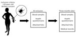 Schematic overview of the Tick-Borne Diseases STING study during 2008–2009 in Sweden and Finland (6), in which tick-bitten persons >18 years of age gave written informed consent to participate, submitted removed tick(s), provided a blood sample, and completed a questionnaire. At a follow-up visit 3 months later, they provided a second blood sample and completed a second questionnaire. Any additional tick(s) found attached during the study period were also submitted and available medical records were reviewed.