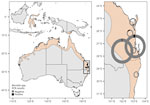 Sampling sites in eastern Australia (Queensland and New South Wales) of Borrelia lineages adjacent to zoonotic clades in black flying foxes (Pteropus alecto), Australia, 2018–2020. P. alecto geographic distribution (beige shading) is shown as defined by the International Union for Conservation of Nature. Circles are colored by the presence or absence of Borrelia spp. infections detected in blood samples from bats at each site. Black box at left indicates area enlarged at right, showing donut plots with the fraction of PCR-positive samples in black; circles are scaled by sample size.