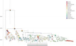 Discrete phylogeographic analysis from study of genesis and spread of novel highly pathogenic avian influenza A(H5N1) clade 2.3.4.4b virus genotype EA-2023-DG reassortant, western Europe. The maximum clade credibility (MCC) tree was obtained from discrete phylogeographic inference based on the analysis of the PB1-HA-NP-NA-MP-NS (polymerase basic 1, hemagglutinin, nucleoprotein, neuraminidase, matrix protein, nonstructural protein) concatenated alignment of EA-2023-DG samples and selected EA-2021-AB reference sequences sourced from GISAID EpiFlu (http://www.gisaid.org). Vertical gray shaded bars reflect the 95% highest posterior density interval associated with each internal node age estimate; internal nodes are colored according to their inferred location, and tip nodes are colored according to their sampling location. For the internal nodes, when a single location could not be inferred with a posterior probability >0.95, we used a pie chart to display the posterior probabilities associated with inferred locations with a posterior probability of >0.05. The gray transparent box highlights the position of the EA-2023-DG clade. The discrete phylogeographic reconstruction based on the analysis of the polymerase basic 2 and polymerase acidic segments are available as supplementary information (Appendix 1 Figures 1, 2).