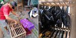 Photographs of bats taken during study of Nipah virus detection in Pteropus hypomelanus bats, Central Java, Indonesia. A) Animal trader at local market in Magelang, Central Java, displaying bats for sale. B) Group of P. hypomelanus bats hanging inside a wooden cage, sold at an animal market in Magelang, Central Java, Indonesia.