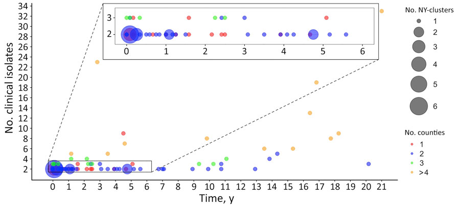 Distribution of timespan, number of clinical isolates, and number of counties among clusters in retrospective analysis of historical Listeria monocytogenes clinical isolates, New York, USA, 2000–2021. Clinical isolates that show a single-nucleotide polymorphism (SNP) distance of <20 SNPs to >1 of the other clinical isolates were grouped into a cluster; therefore, each cluster contains >2 clinical isolates. Each circle represents between 1 and 6 clusters, and the size of the circle is proportional to the number of clusters represented. Circles are color-coded according to the number of counties in each cluster. Timespan represents the interval between the first and the last collected clinical isolates in a cluster, measured in years with a month (1/12 of a year) as the minimum measurable unit. If the first and last collected clinical isolates in a cluster were obtained within the same month of the same year, the timespan for the cluster is zero.