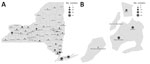 Distribution of clinical isolates within clusters (i.e., the isolates with pairwise SNP distance ≤20) in retrospective analysis of historical Listeria monocytogenes clinical isolates, New York, USA, 2000–2021. A) Distribution of isolates by New York county during 2000–2021 (except for the New York City [NYC] area); B) distribute of isolates in NYC during 2000–2004. The boroughs of NYC (Manhattan, Brooklyn, Queens, the Bronx, and Staten Island) were separated from New York counties outside NYC because of the limited number of isolates available for these regions.