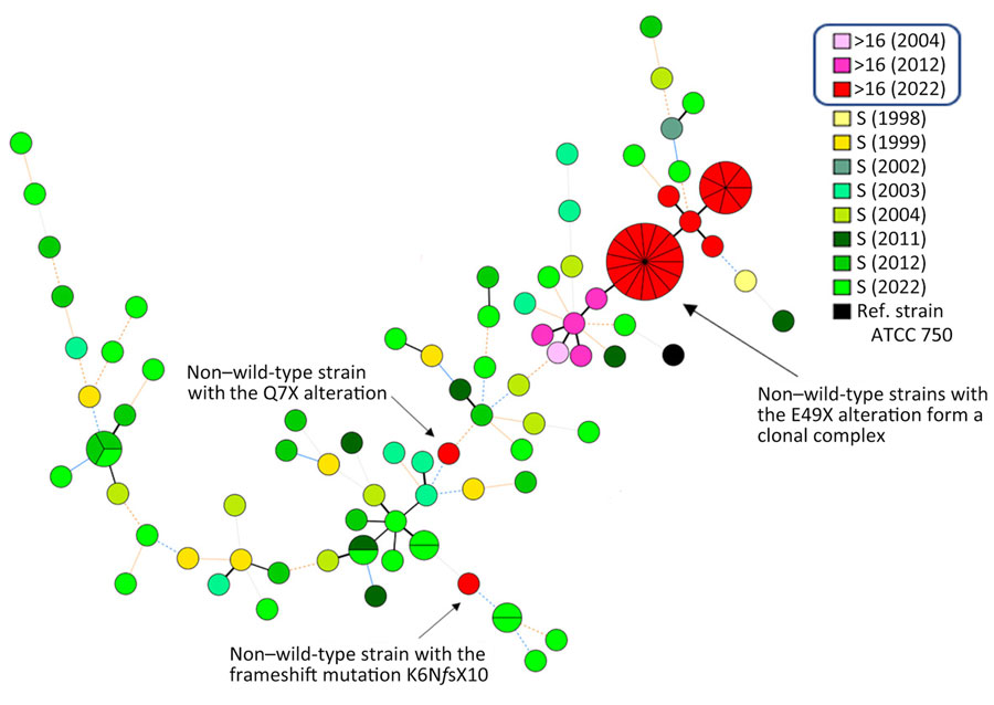 Minimum spanning tree illustrating the genotypic relationships among Candida tropicalis isolates, Denmark. Each node represents a distinct genotype; node size is proportional to the number of strains sharing the same allelic profile. Lines connecting nodes indicate genetic differences: thick solid black indicates 1 allele difference; thin solid black, 2 alleles; thin solid blue, 3 alleles; thin dashed blue, 4 alleles; orange dashed, 5 alleles; orange dotted, 6 alleles; and grey dotted, >6 alleles. Node colors represent the year of collection and 5-fluorocytosine resistance status. Non–wild-type strains with the E49X alteration form a clonal complex with minimal genetic variation over a 20-year period. In contrast, isolates carrying the Q7X or K6NfsX10 alterations are genetically unrelated to each other and to other strains, suggesting sporadic acquisition of resistance. Note: Line length does not reflect evolutionary distance. Boxed items at top of key indicate MICs for non–wild-type strains. S, susceptible.