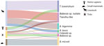 Characterization of host and vector associations determined from phylogenetic analysis of Theileria and Babesia spp. isolates in study of piroplasmorida in humans, southwest China, May 2017–June 2020.