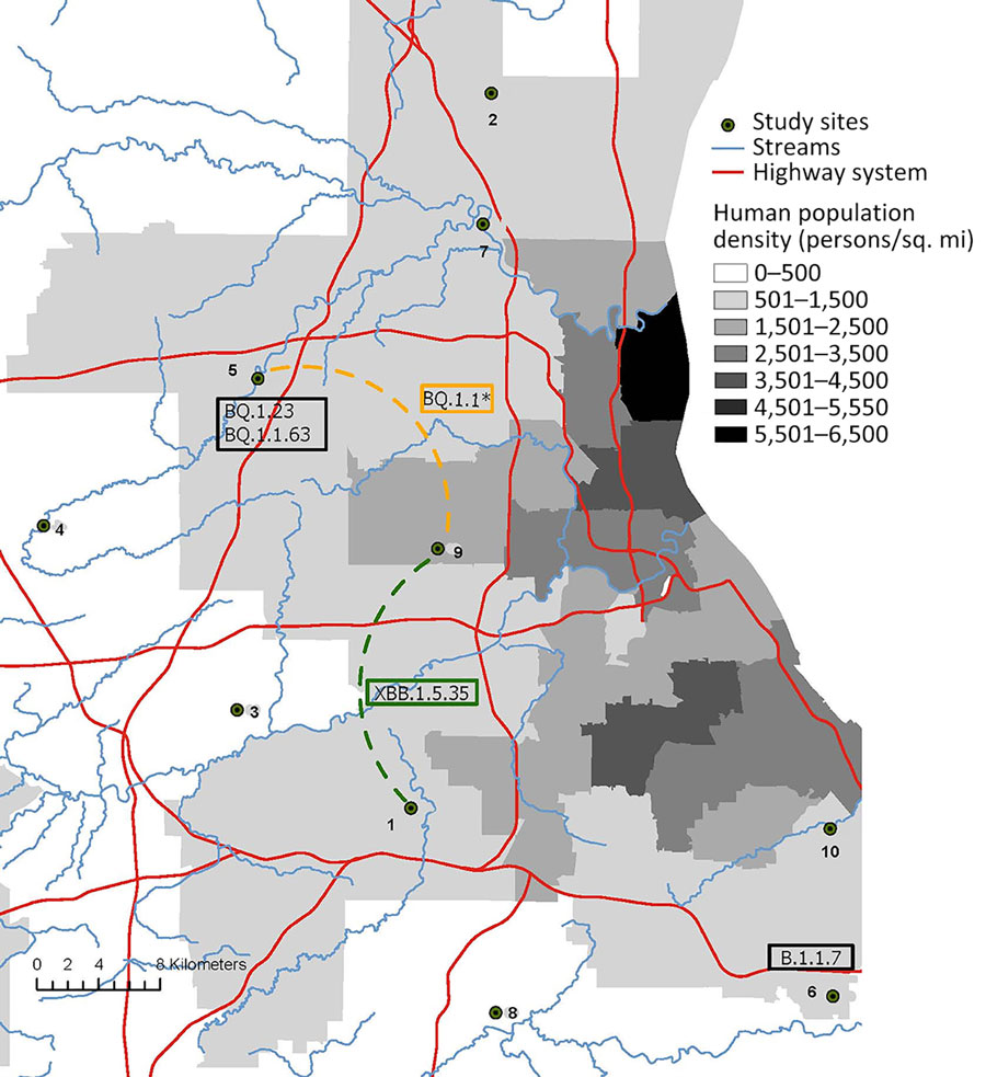 Locations of SARS-CoV-2 viruses in white-tailed deer in northeast Ohio, USA. The map shows the 6 pangolin lineages (17) identified in deer (boxes) located within 4 sampling sites during January–March 2023. The dotted lines between sampling sites represent inferred routes of transmission, as inferred from deer clusters identified on the phylogenetic tree shown in Figure 2. The SARS-CoV-2 XBB.1.5.35 lineage transmission between locations 1 and 9 is inferred from Omicron cluster 1. The SARS-CoV-2 BQ.1.1 (including BQ.1.1.67) lineage transmission between locations 5 and 9 is inferred from Omicron cluster 2. Map created by using ArcGIS Pro 3.1.0 (Esri, https://www.esri.com).