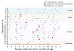 Sampling frequency and Strongyloides infection in infants from Eastern Highlands Province, Papua New Guinea. At least 5 samples were collected from each infant enrolled during the first 13 months of life. Samples that demonstrated molecular evidence of Strongyloides spp. infection are shown. Sample locations are indicated at right.