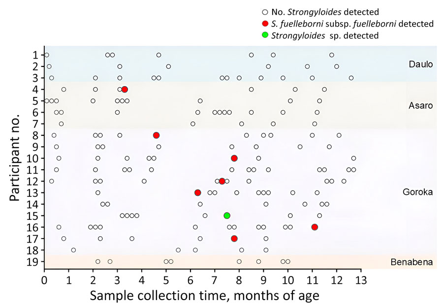 Sampling frequency and Strongyloides infection in infants from Eastern Highlands Province, Papua New Guinea. At least 5 samples were collected from each infant enrolled during the first 13 months of life. Samples that demonstrated molecular evidence of Strongyloides spp. infection are shown. Sample locations are indicated at right.