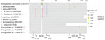 Schematic of MUSCLE-aligned (https://github.com/rcedgar/muscle) Strongyloides sp. 18S rRNA HVR-I sequences from study on infant strongyloidiasis, Papua New Guinea. Sequences obtained are marked with red circles. Previously published sequences are annotated with their GenBank accession numbers. S. f. fuelleborni, S. fuelleborni subsp. fuelleborni; S. f. kellyi, S. fuelleborni subsp. kellyi.