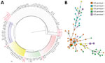 Phylogeny of multiple nosocomial Trichosporon asahii transmission events via microsatellite typing assay, South America. We compared IGS1 sequencing–based genotyping and a microsatellite panel for 111 T. asahii isolates. A) Neighbor-joining tree based on the rDNA sequencing target, conducted in MEGAX (https://www.megasoftware.net). Red text indicates GenBank accession numbers for reference strains of the described genotypes. Scale bar indicates nucleotide differences per site. B) Minimum spanning tree generated by 6 loci of microsatellite data showing the relationship between microsatellite typing and IGS1 genotypes. Each circle represents a unique genotype; if multiple isolates share an identical genotype, they are shown as a fraction of the circle. Lines between circles indicate the relative similarity, the shorter the line the less prominent the difference between the microsatellite genotypes. Thick lines identify genotypes with fewer differences (1 of 6 loci tested); medium thick lines identify genotypes with differences in 2 of the 6 loci; thick and medium thick dashed lines represent genotypes that share 2–3 identical loci of the 6 tested. Thin dotted lines identify genotypes sharing only 1 identical locus. IGS, intergenic spacer.