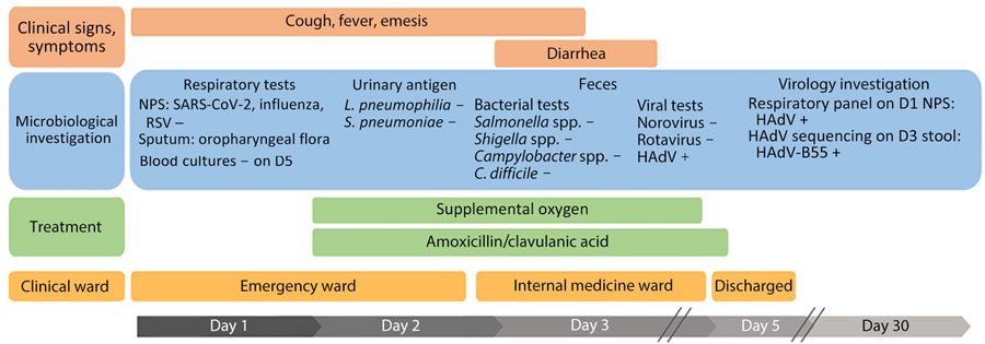 Timeline of medical care after patient’s admission to emergency department in study of  HAdV-B55 infection in patient without recent travel history, France. NPS samples were negative for SARS-CoV-2, influenza, and RSV on D1, and urinary antigen tests for Legionella pneumophila and Streptococcus pneumoniae were also negative. HAdV-B55 was confirmed by whole-genome sequencing on D3 stool samples. D, day postadmission; HAdV-B55, human adenovirus B55­; NPS, nasopharyngeal swab; RSV, respiratory syncytial virus; –, negative; +, positive. 