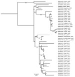 Whole-genome phylogeny of human adenovirus B55 infection in patient without recent travel history, France. The phylogenetic tree was constructed by using the maximum-likelihood method in MAFFT (https://mafft.cbrc.jp). The strains from the patient reported in this study is designated as Patient_France_2024 (GenBank accession no. PQ723065). The statistical robustness of branches was estimated by 1,000 bootstraps. Only bootstrap values >80% are indicated. GenBank accession numbers, country, and year for isolates are provided. Scale bar indicates nucleotide substitutions per site.