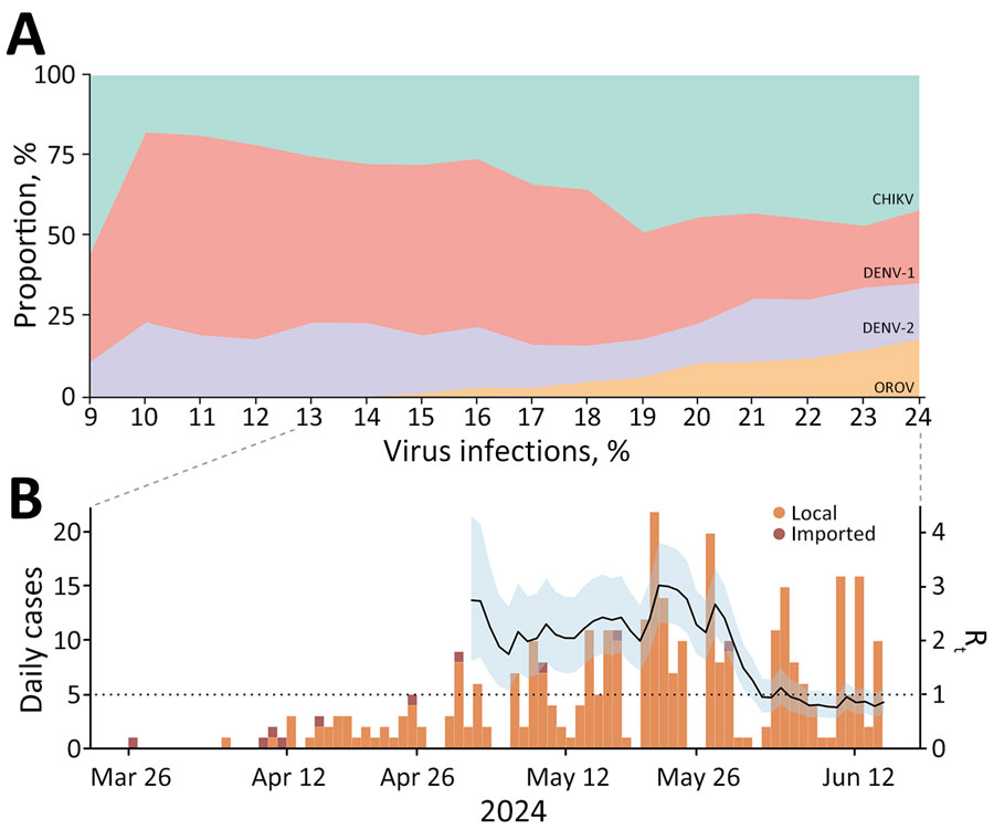 Temporal distribution and reproduction number of Oropouche virus in Espírito Santo, Brazil. A) Weekly percentages of CHIKV, DENV-1, DENV-2, and OROV infections for epidemiologic weeks 9–24, 2024. B) Estimates of Rt during the OROV outbreak. Solid black curve represents the median Rt; shaded area indicates 95% credible interval, based on daily incidence data including local and imported cases. Dotted line indicates Rt = 1. Rt was estimated using sliding windows of τ = 7 days. CHIKV, chikungunya virus; DENV, dengue virus; OROV, Oropouche virus; Rt, instantaneous reproduction number.