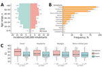 Demographics, symptoms, and Ct value comparison in OROV-positive patients from Espírito Santo, Brazil. A) Age-sex pyramid of the OROV incidence rate (per 100,000 inhabitants). Incidence rates are shown for each age group. B) Frequency of symptoms reported in OROV-positive patients. C) Boxplots of Ct values from OROV reverse transcription PCR in patients with or without fever, headache, myalgia, and retroorbital pain. Black horizontal bars indicate medians, tops and bottoms of boxes indicate interquartile ranges, vertical whiskers indicate ranges. Gray dots represent individual Ct values. p values determined by 2-sided Mann–Whitney U test for each comparison.